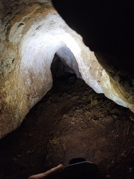 Fleurey-sur-Ouche - grotte 1 de la combe Morcueil - intérieur, Aurélien Bloch.jpg
Intérieur de la galerie.
Fichier manquant